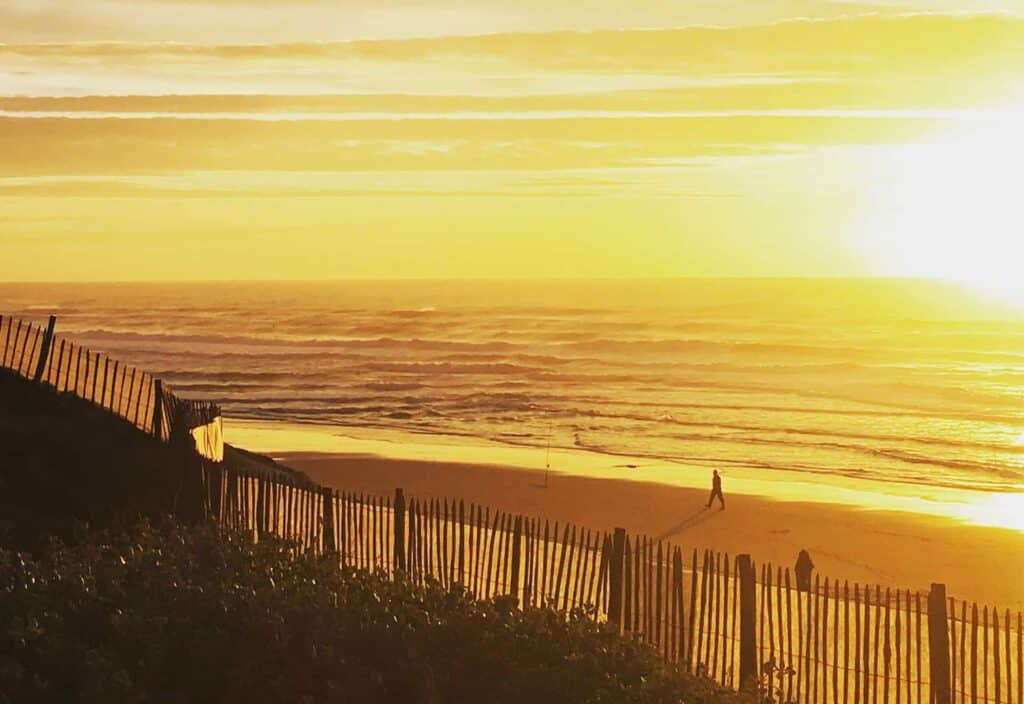 A person walking on the beach with a glowing sunset over the ocean and beach and a wooden fence and shrubs in the foreground