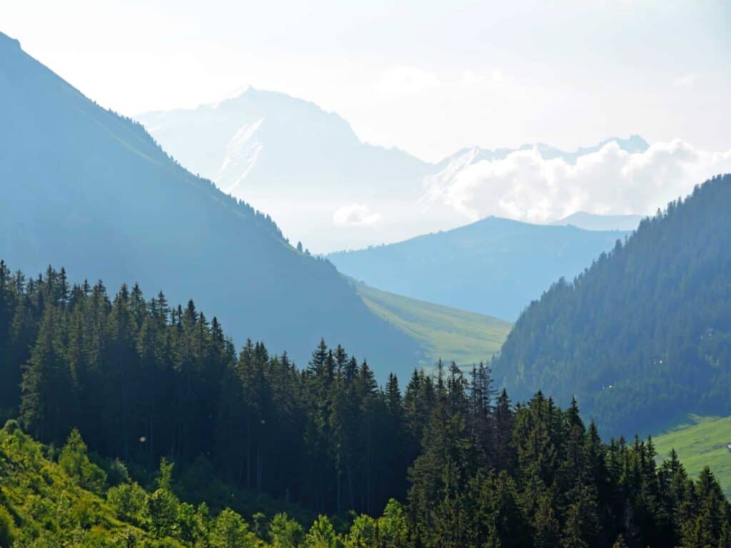 A view from La Clusaz of forested mountains 