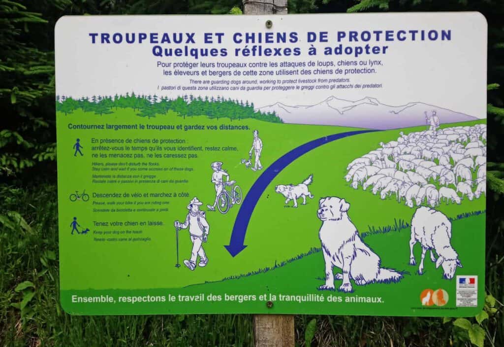 Informative signpost about Pastou or guard dogs