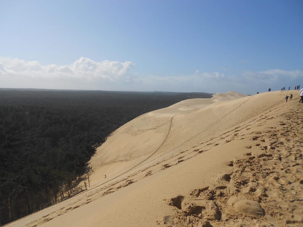 A photo taken from the top of the Dune du Pilat in Lacanau with views down over the forest