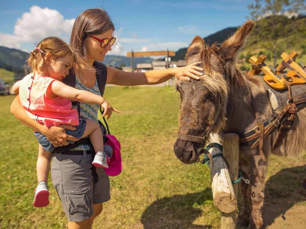 A mother holding her daughter and petting a tethered donkey in a sunny feild
