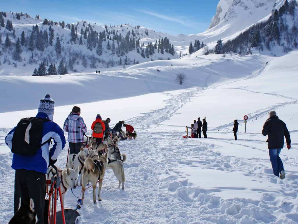 Husky sledding in La Giettaz - things to see and do in La Giettaz