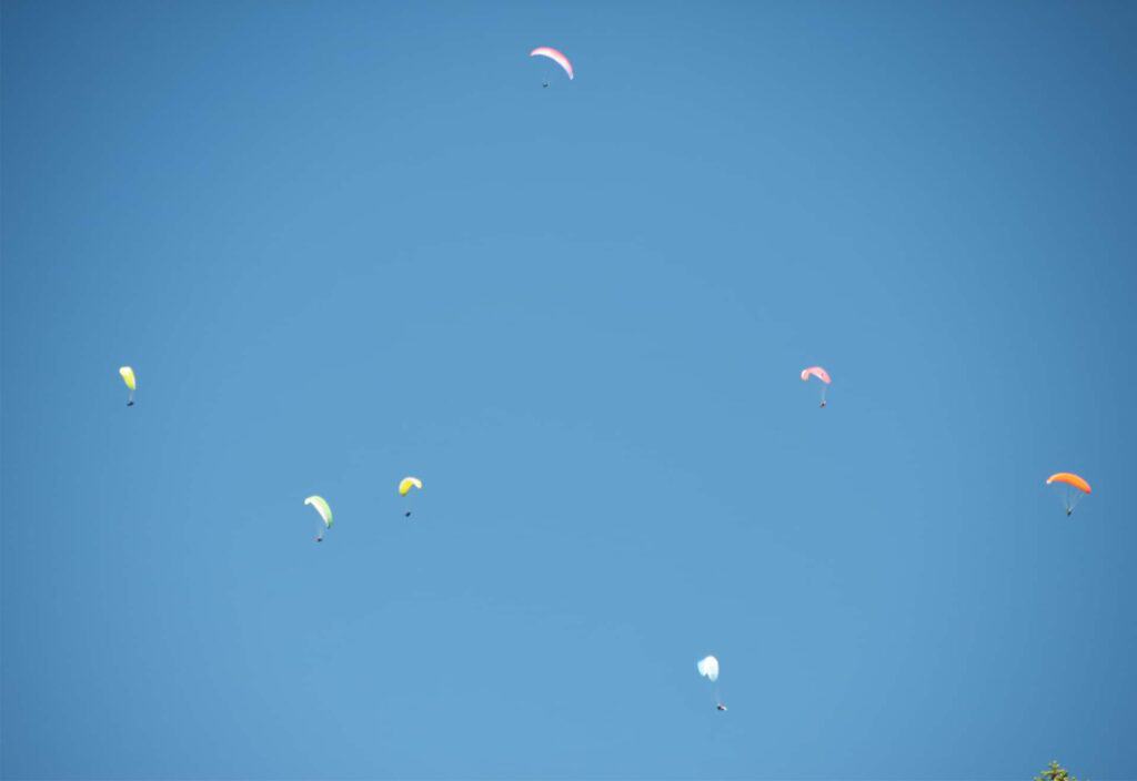 Seven colourful paragliders on a blue sky at the alpine summer event Back to Grand Bo in the French Alps 