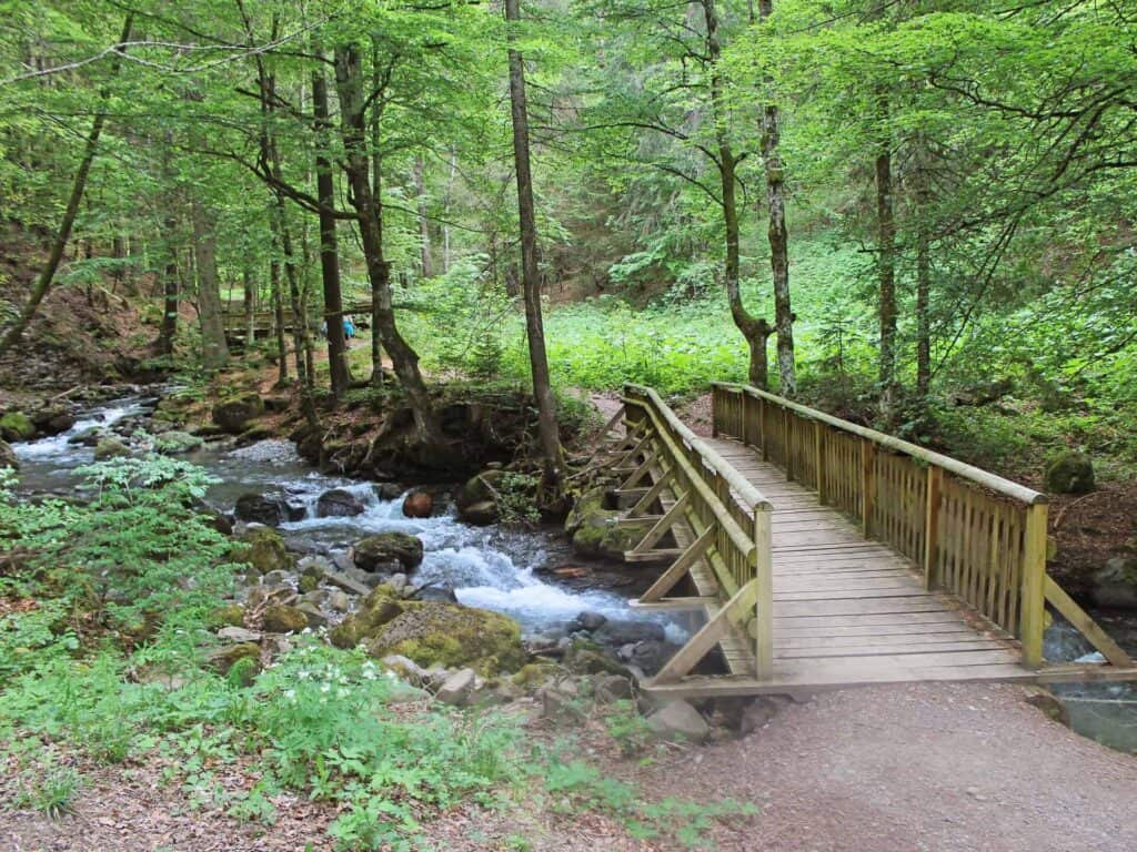 A small wooden bridge on the dog friendly hike the hameau des alpes loop over the river in a shady woodland