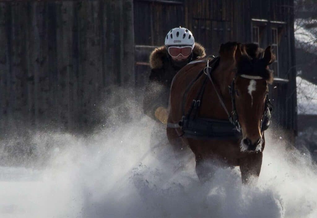 Things to do in Morzine in winter: Skijoëring
