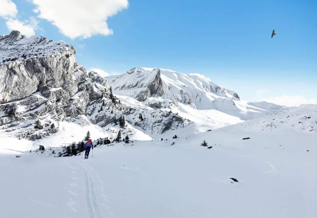 Person doing solo cross-country skiing in a snowy landscape.