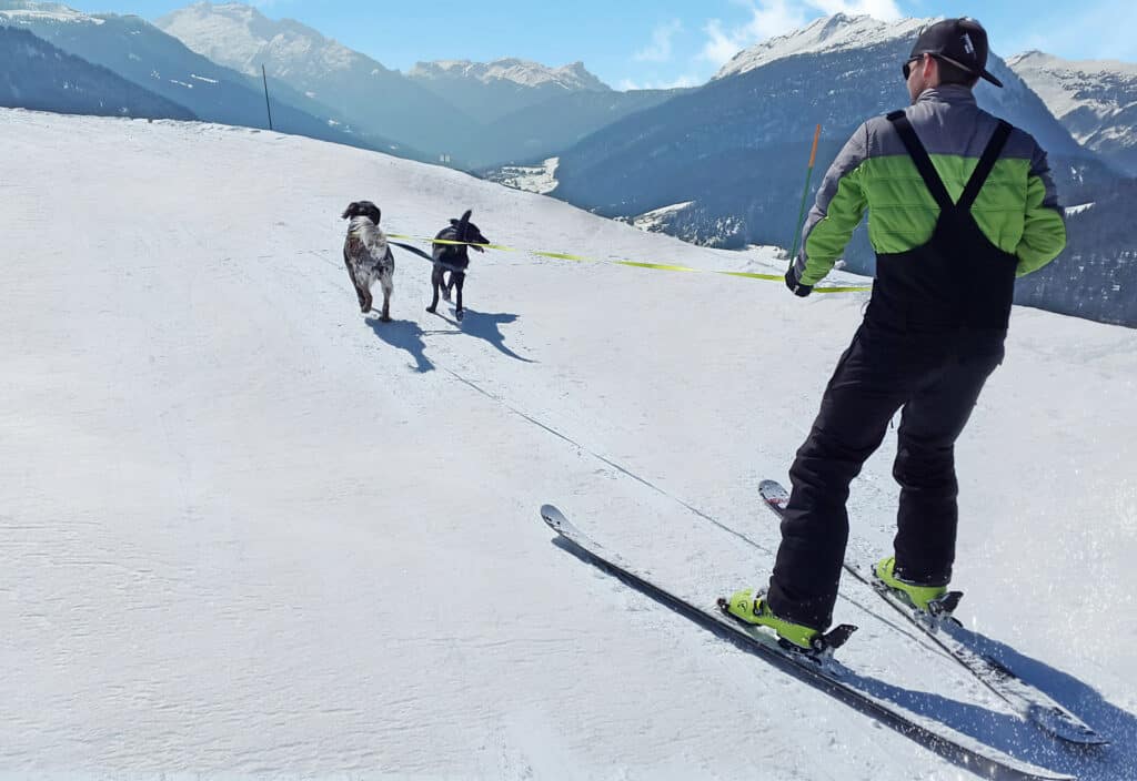 aravis holiday