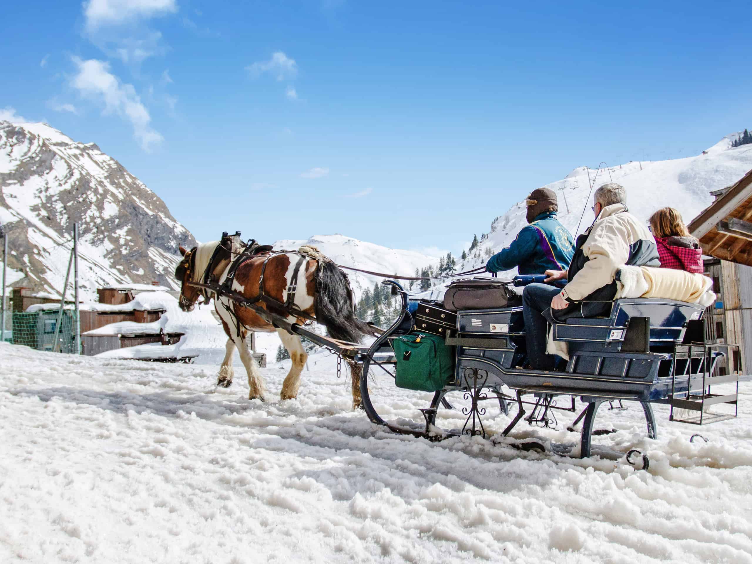 Winter Activities: Horse-drawn sleigh riding