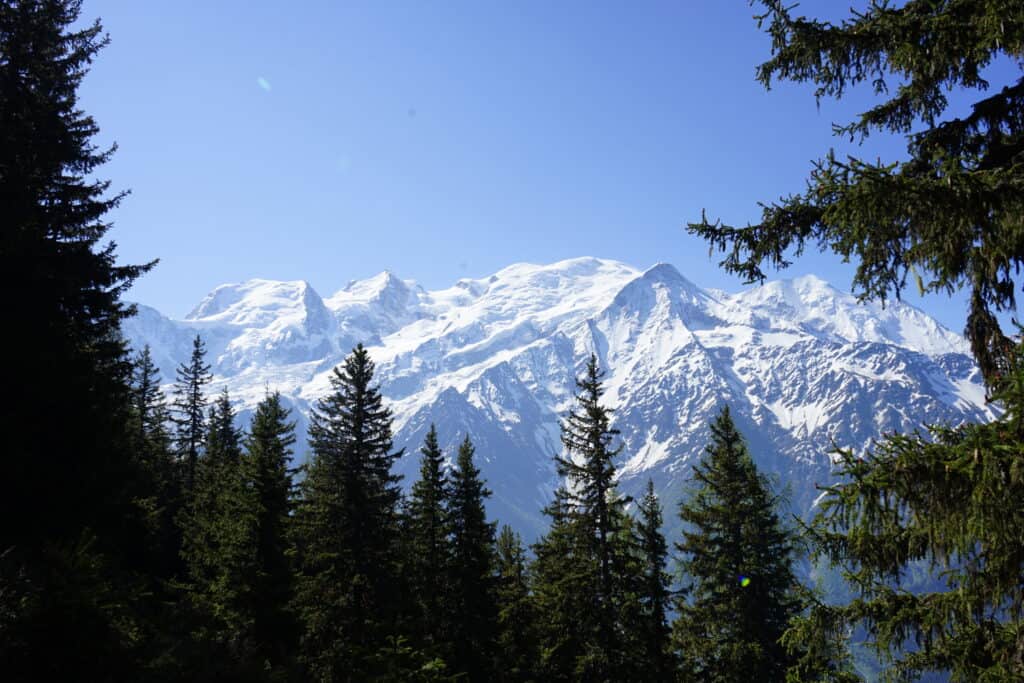 Massif du Mont Blanc vu de loin, beau ciel bleu et des arbres en premiers plan. 
