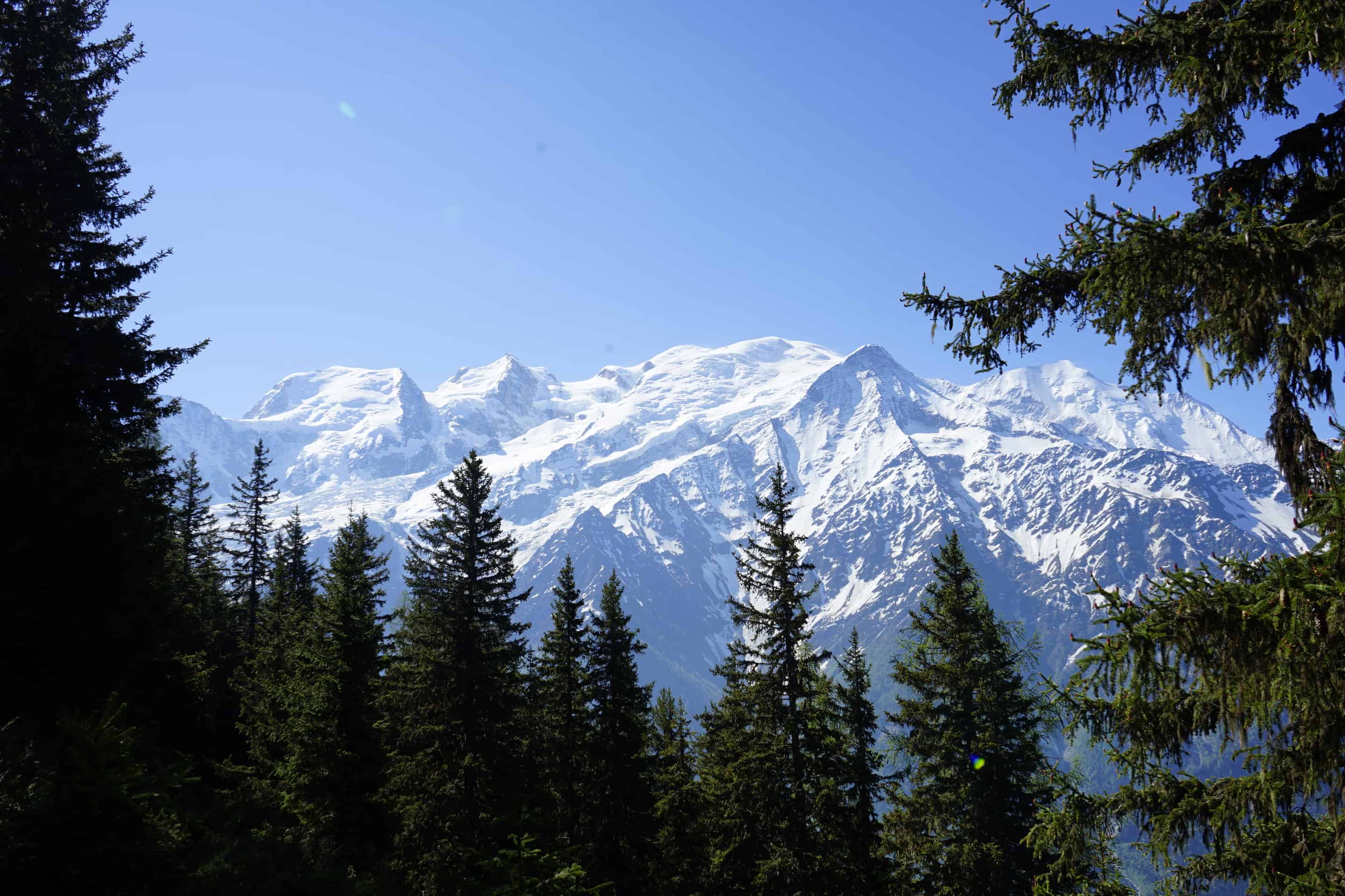 Activities in Chamonix: Take a hike
