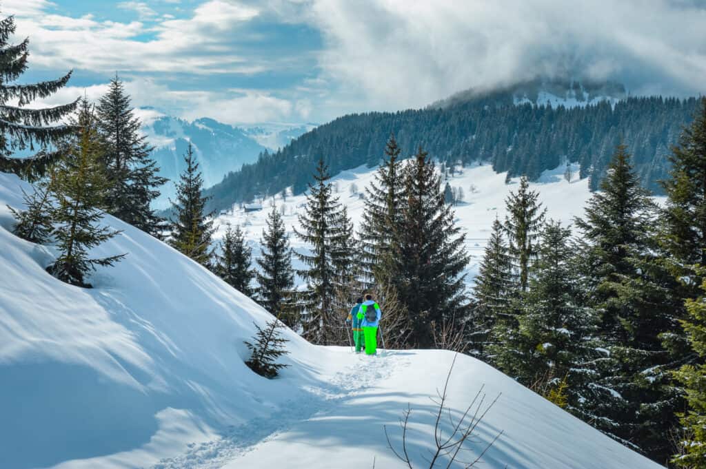 Two people ski touring in a snowy landscape.