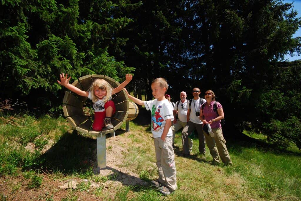 Summer activities in the alps: The Rivari fun train- Châtel ski resort