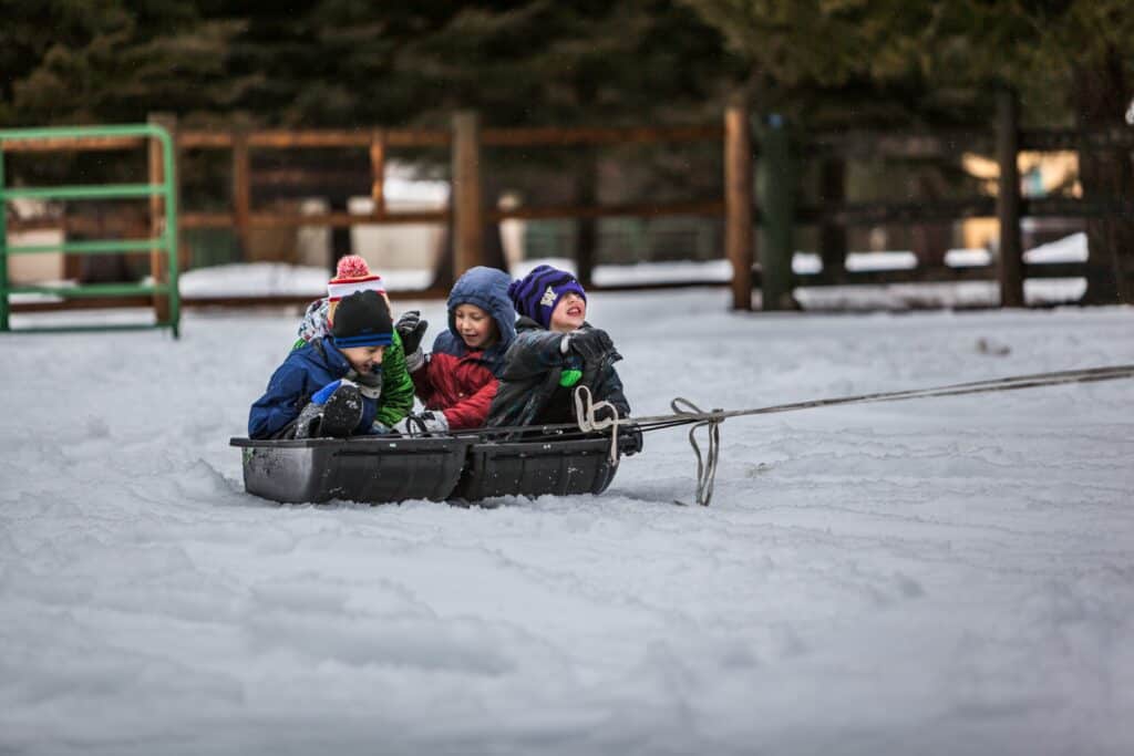 4 kids on a sledge
