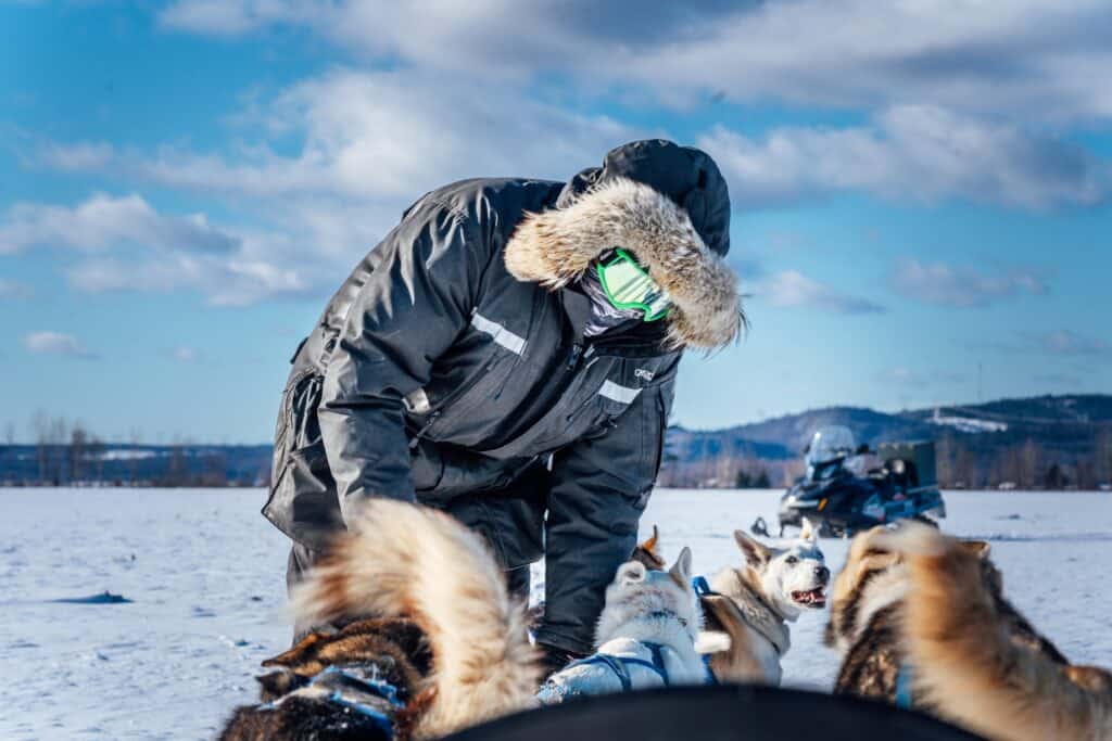 Dog sledding in Les Gets