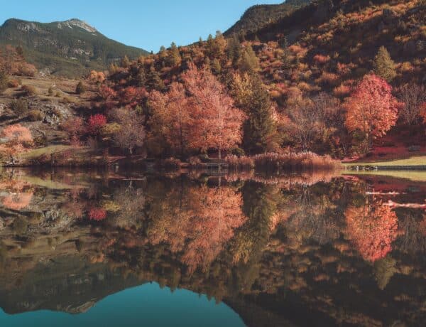 Un lac devant une forêt aux couleurs d'automne