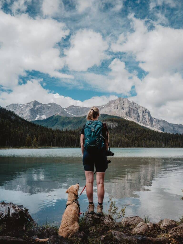 A walker stops with her dog at the edge of a mountain lake