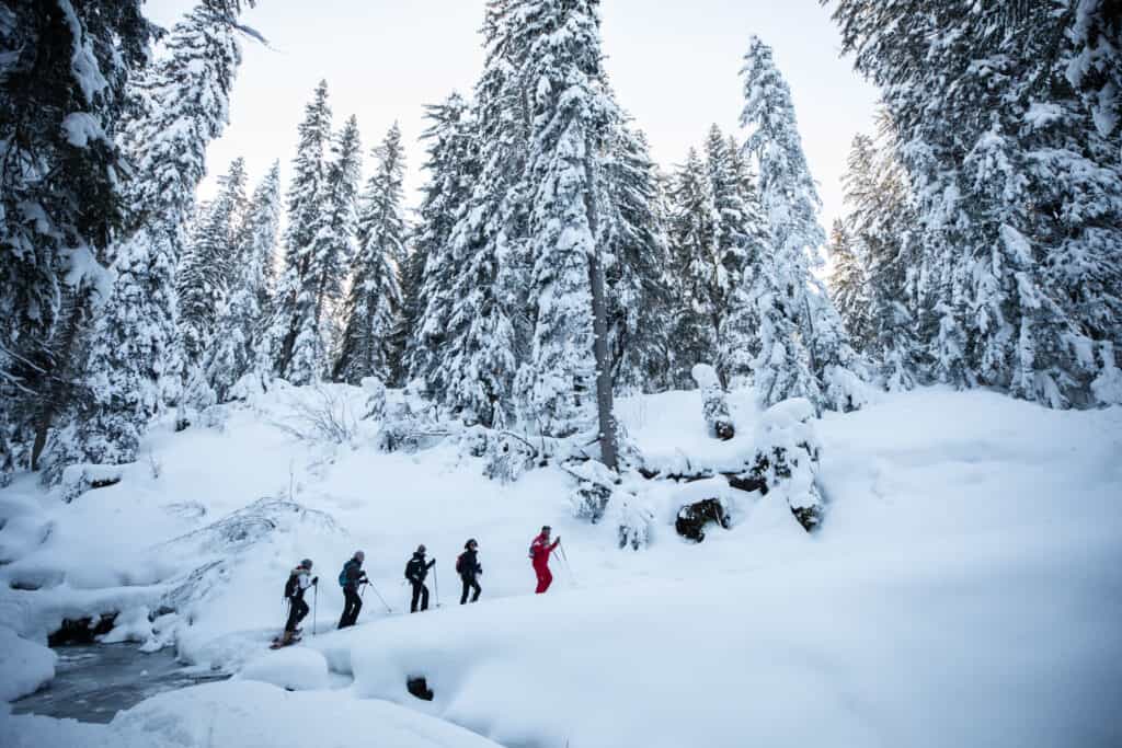 A group of hikers in the snowy mountains