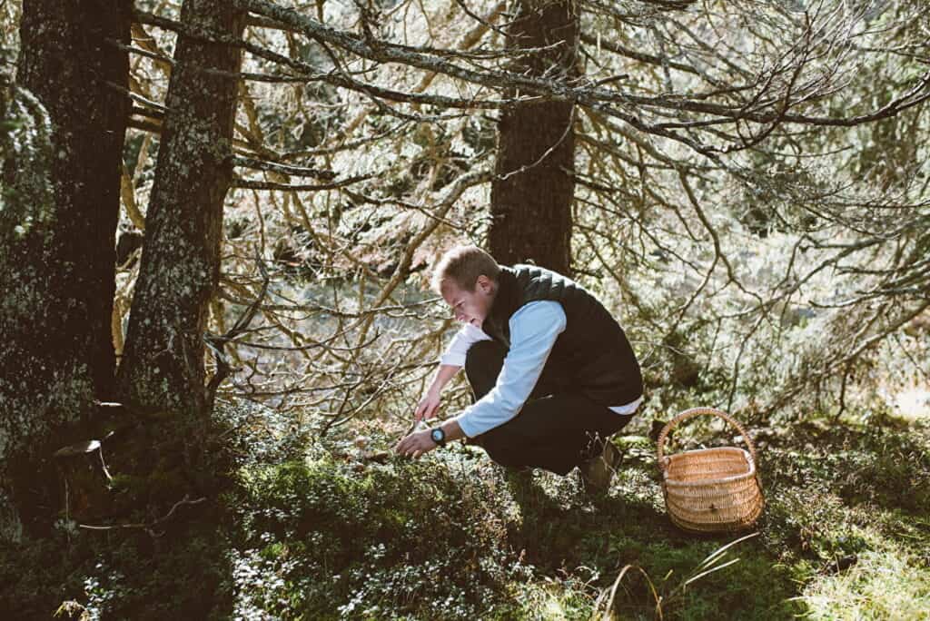 Chef Pieter Riedijk forages in the forest