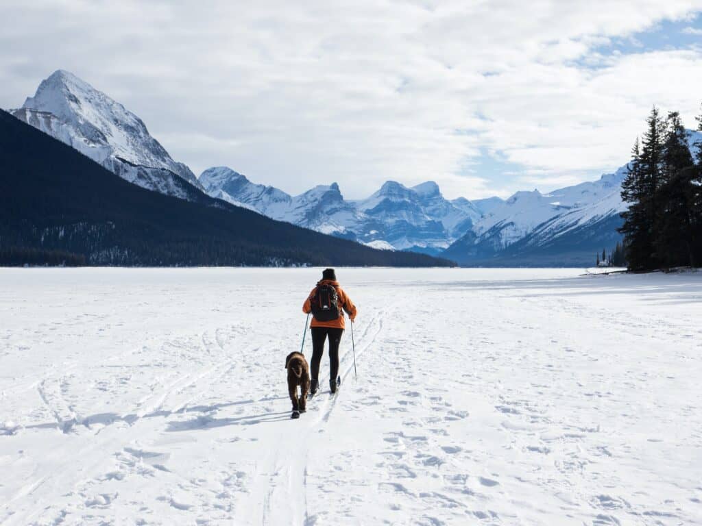 A person cross country skiing with their brown dog