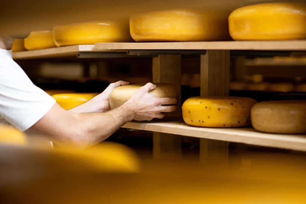 Personne retournant un fromage dans une cave d'affinage.