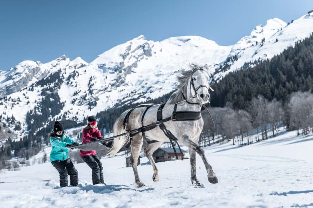 Deux personnes à skis tirées par un cheval. 