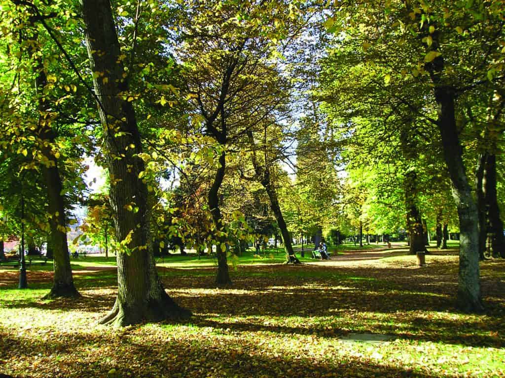 A shady path between the trees in the Jardins de L'Europe