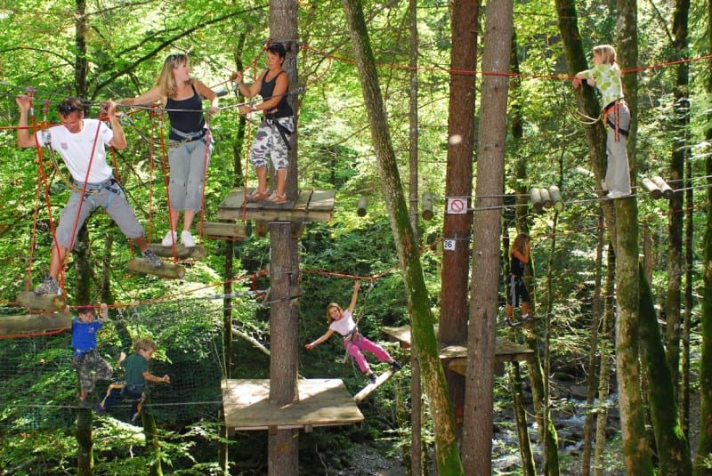Enjoy a tree-top assault course in the Alps