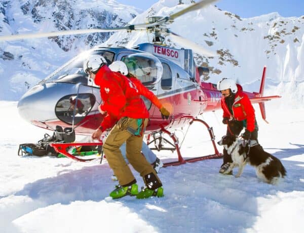 Couple de secouristes avec chien de sauvetage, sautant d'un hélicoptère en haute montagne