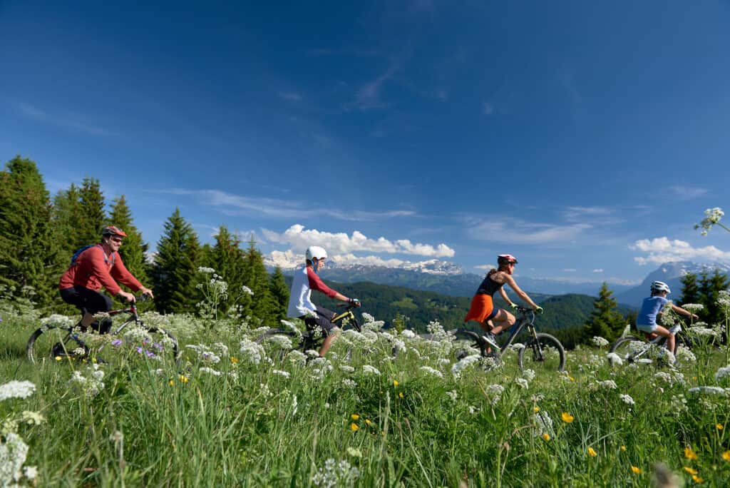 Family with two kids riding their bikes through a blooming field during their summer holidays.