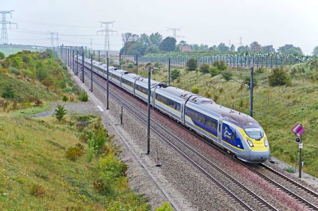 Train entouré de verdure.