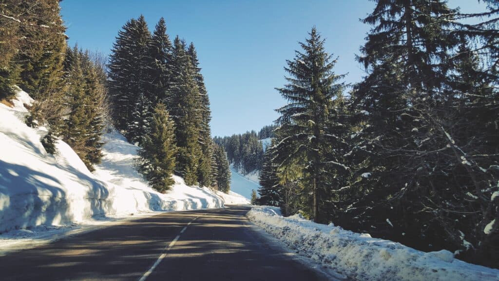 Route de montagne bordée de neige et d'arbres.