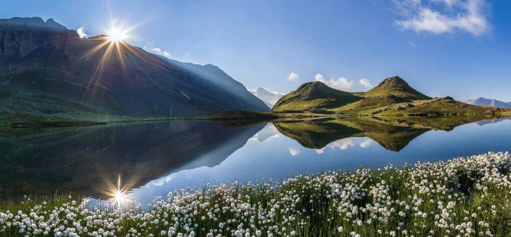 A flower-filled pasture at the edge of a lake, where mountains are reflected in the still water