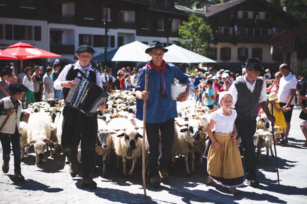 Un groupe de personne mène un troupeau de moutons à travers les rues en jouant de la musique. 