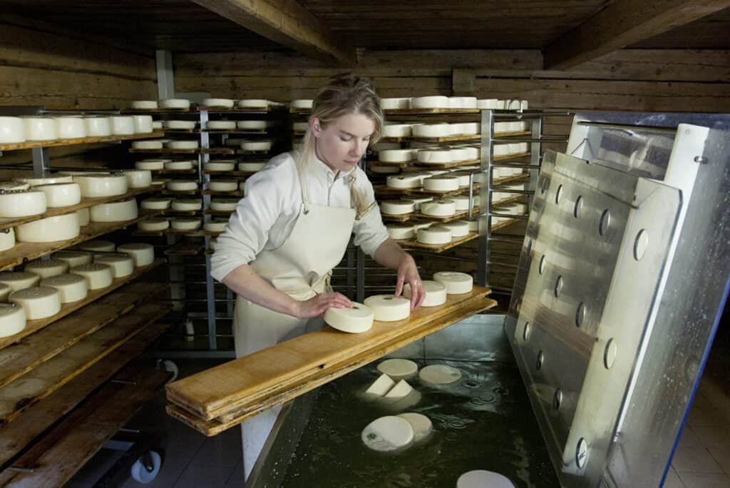 A woman turns the Reblochon cheeses after washing