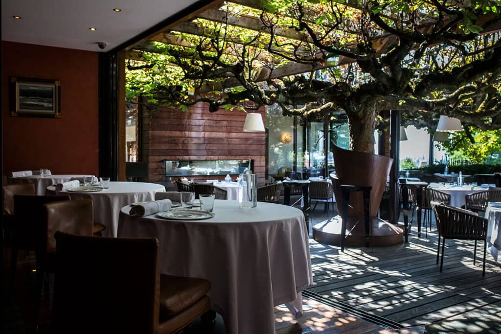 Interior of the Michelin-starred restaurant Le Clos des Sens in Annecy. A tree crosses over and forms a green roof over the restaurant's tables. 