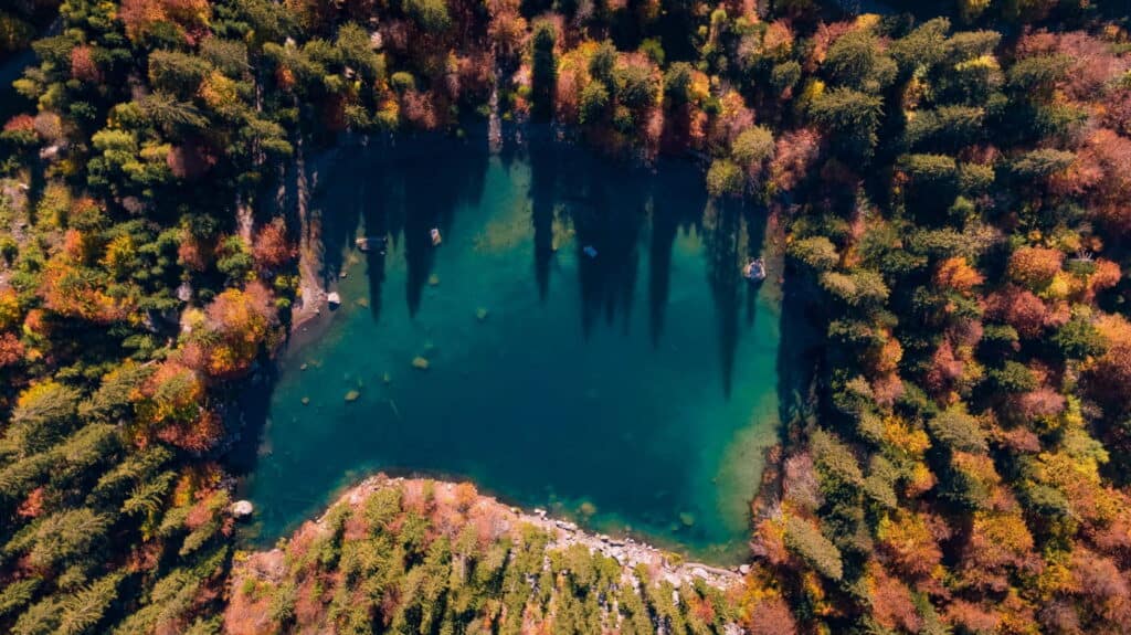 An aerial picture of an Alpine lake surrounded by trees in  autumn colours