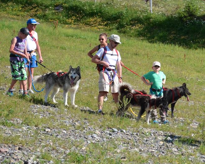 Une famille avec des enfants accrochés à des chiens pour une randonnée spéciale.