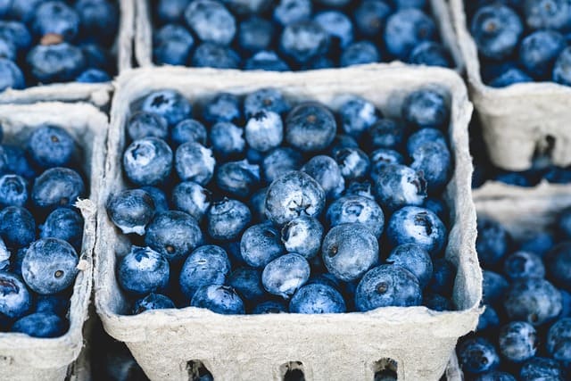 Punnets of fresh blueberries