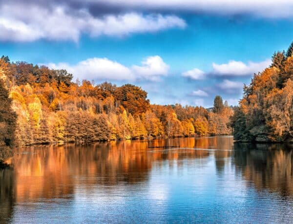 Rivière entourée d'arbres aux couleurs automnales.