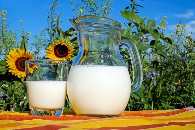 A jug and a glass of milk on an orange tablecloth in front of a field of sunflowers against a blue sky