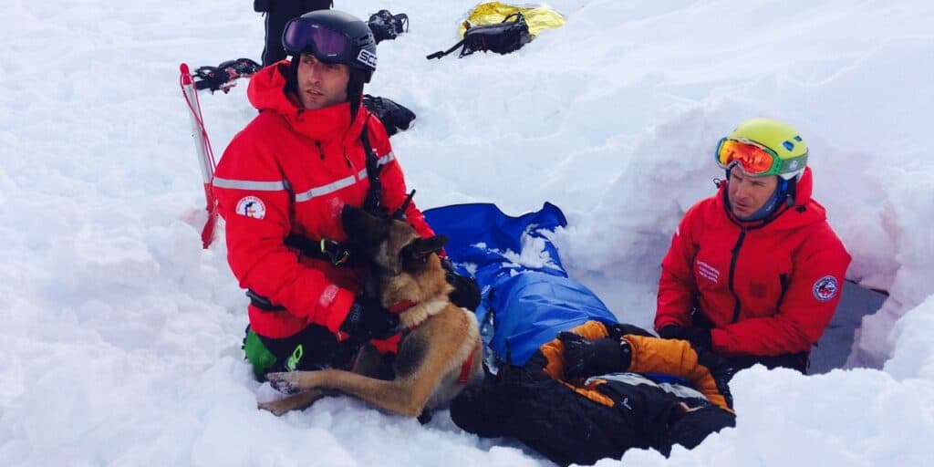 Rescuers with a dog carry out emergency exercises in the snow
