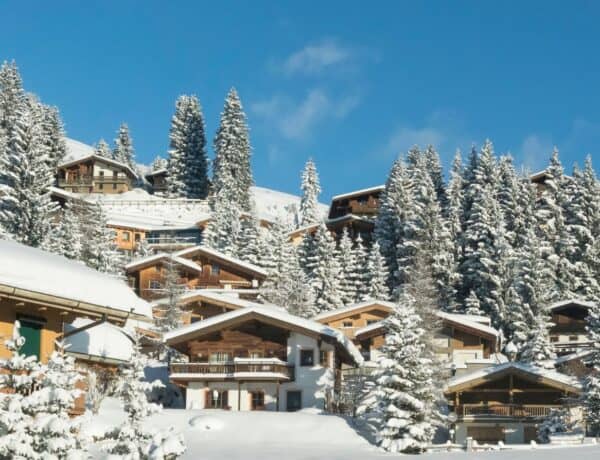 Chalets enneigées au milieu de sapins.
