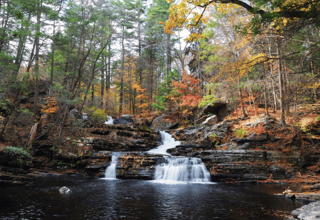 A waterfall in a forest glade with autumn colours