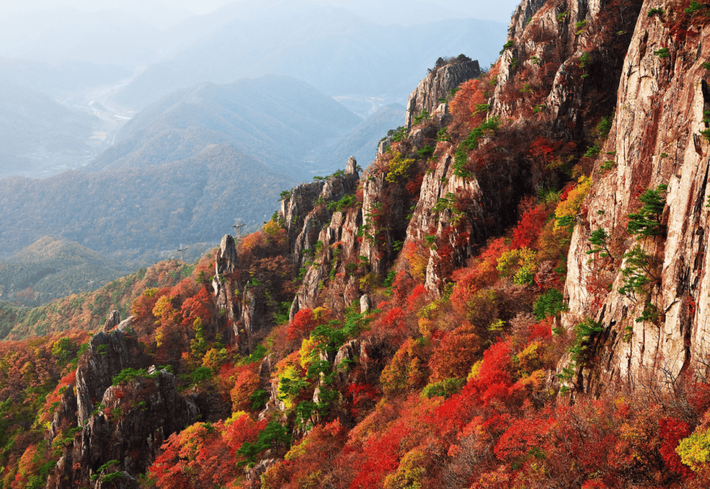 A rocky mountainside covered in glorious autumn colours