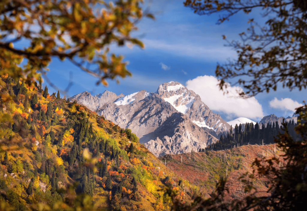 Paysages de montagnes enneigées et de forêts d'automne.