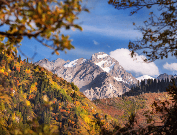 Paysage de montagnes enneigées et de forêts en automne.