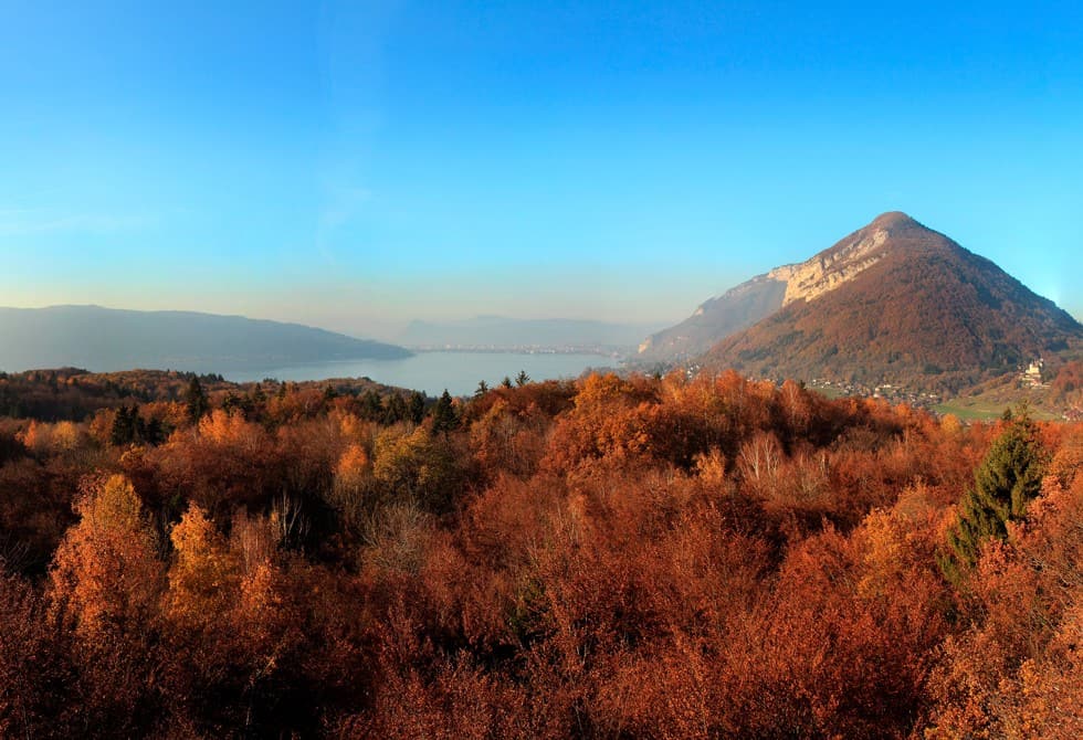 Lake Annecy viewed across a forest of autumn colours under a blue sky