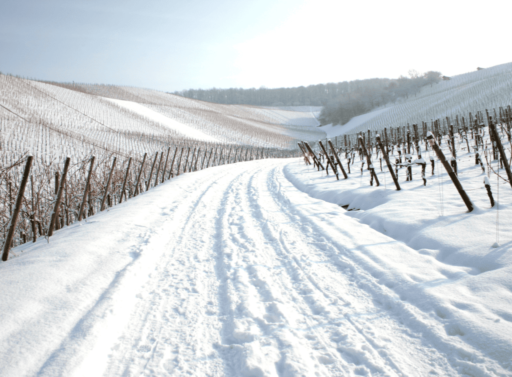 A snow track through fields