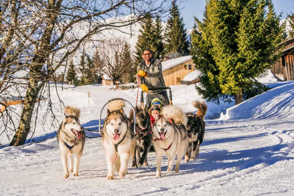 A musher drives a team of huskies around a village