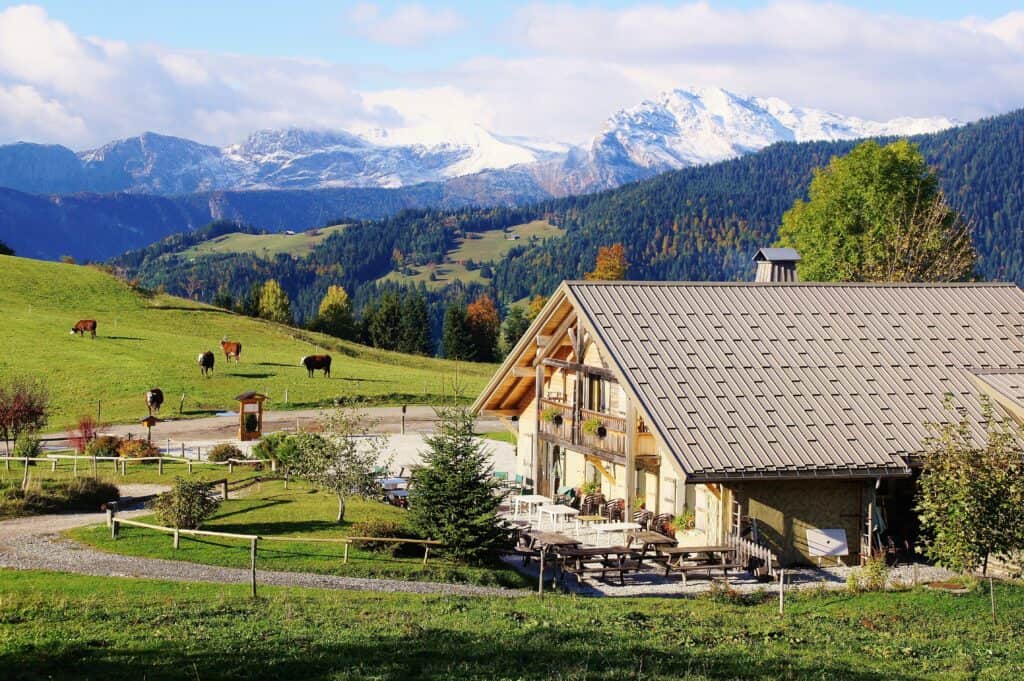 L'auberge de Plan Bois à Manigod, entourée de montagnes et de pré où broutent des vaches.